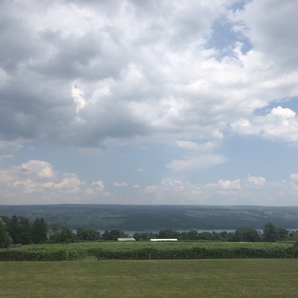 The Inn At Glenora Wine Cellars - Another beautiful view of the vineyard and the Seneca Lake. - Hotels Near Me - Dundee, New York