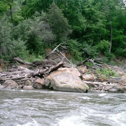Vermillion River Rafting - Look at all that nature!
