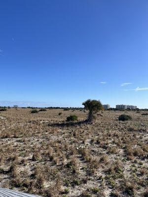 Smyrna Dunes Park by null