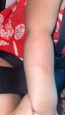 Taqueria Michoacan by null