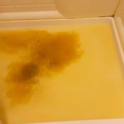 Arches Vacation Rentals - Water and FECES at Kokopelly unit # 10 . Arches vacation rentals.  Stay away ftom this horrible place .