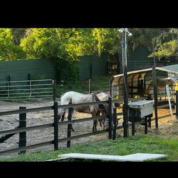 Sunset Riding Stables - Horse Boarding Near Me - Spring Hill, Florida Sunset Riding Stables - Horse Boarding Near Me - Spring Hill, Florida