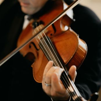 Forte Strings - Musicians Near Me Forte Strings - Musicians Near Me