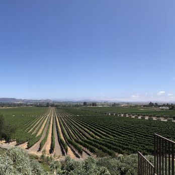 Gloria Ferrer Winery - Vineyard - Wineries Near Me - Sonoma, California