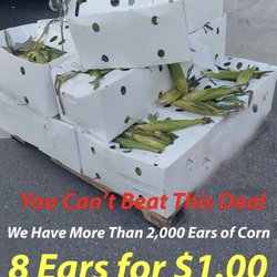 Plant City Farm Market - Ears of corn limit 40