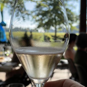 Two Sisters Vineyards - Beautiful views and wines! - Wine Tours Near Me - Niagara-on-the-Lake, Ontario