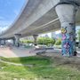 Photo of Lynch Family Skatepark