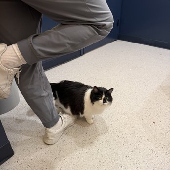 Bond Vet - Jersey City - Veterinarians Near Me - Jersey City, New Jersey Bond Vet - Jersey City - Veterinarians Near Me - Jersey City, New Jersey