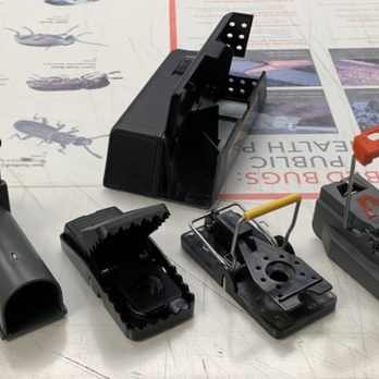 Peerless Pest Control - We have a wide variety of mouse traps including the electric zappers! - Pest Control Near Me - Philadelphia, Pennsylvania Peerless Pest Control - We have a wide variety of mouse traps including the electric zappers! - Pest Control Near Me - Philadelphia, Pennsylvania