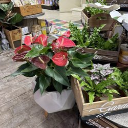 user provided Salsberry Garden Center photo