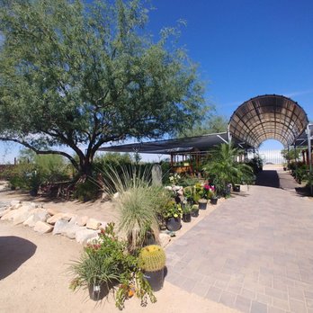 Acacia Nursery - Nurseries & Gardening Near Me - Marana, Arizona Acacia Nursery - Nurseries & Gardening Near Me - Marana, Arizona