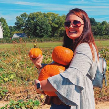 Spencer Farm - Not only do they have regular pumpkins, but also pumpkin pie pumpkins, too! - Pick Your Own Farms Near Me - Noblesville, Indiana Spencer Farm - Not only do they have regular pumpkins, but also pumpkin pie pumpkins, too! - Pick Your Own Farms Near Me - Noblesville, Indiana