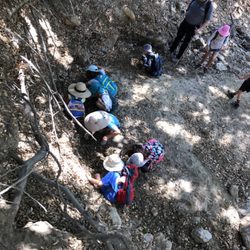 Walk-A-Bout Outdoor Adventures - Knowing where to find water in a dry creek bed is a very valuable skill to know and survive.