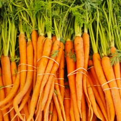 Salem NH Farmers Market