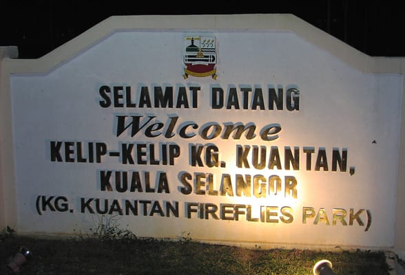 Kampung Kuantan Fireflies Park (Selangor) by null