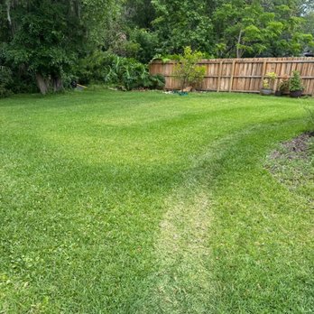 Turner Pest Control - Yard damage of striping - Pest Control Near Me - Jacksonville, Florida Turner Pest Control - Yard damage of striping - Pest Control Near Me - Jacksonville, Florida