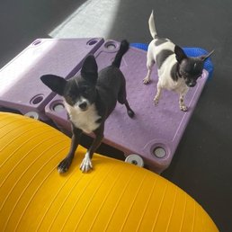 My babies during one on one enrichment.
