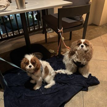 Bourbon Steak Orange County - My noble beasts and their royal treatment. - Steakhouses Near Me - Dana Point, California Bourbon Steak Orange County - My noble beasts and their royal treatment. - Steakhouses Near Me - Dana Point, California