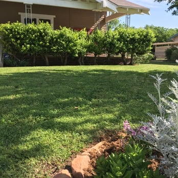 Sweetleaf - Flowers planted - Landscaping Near Me - Oklahoma City, Oklahoma
