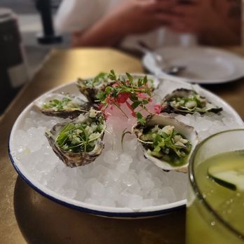 Maestro Restaurant - Oysters Agua Chilies - Cocktail Bars Near Me - Pasadena, California Maestro Restaurant - Oysters Agua Chilies - Cocktail Bars Near Me - Pasadena, California