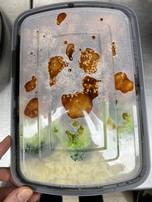 Double Dragon by null