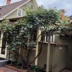 Boulder Guest House - Side of house