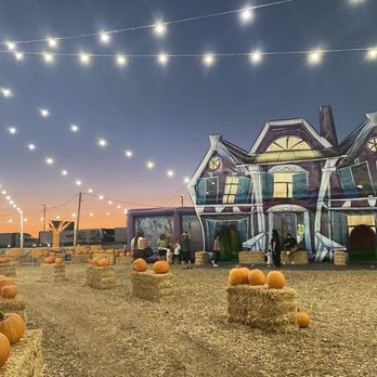 SEASONAL ADVENTURES PUMPKIN PATCH AND CHRISTMAS TREES - Updated