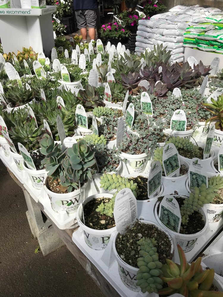 HARRIS NURSERY & FLORIST Updated August 2024 6508 Ladner Trunk Road