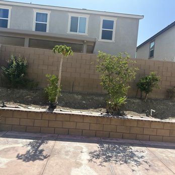 CM Landscaping Services - Tree Services Near Me