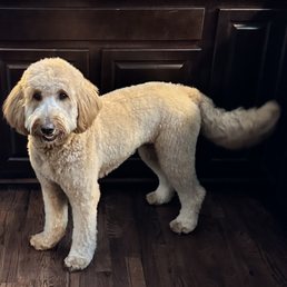 Groomed Groomed