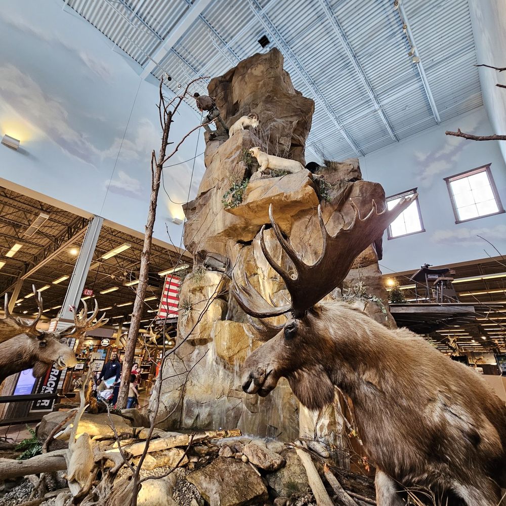 Marley stuck under leena