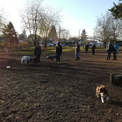 David Gray Park - Off Leash Enclosure - Big enclosed area