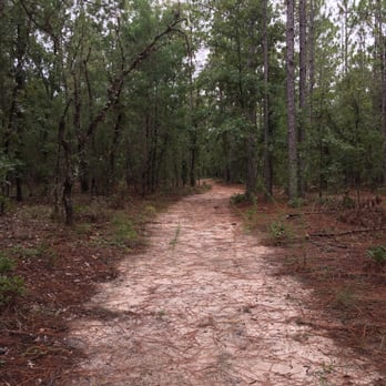Silver Springs Forest Conservation Area - Hiking Near Me - Silver Springs, Florida
