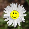 Smile Herb Shop gift card