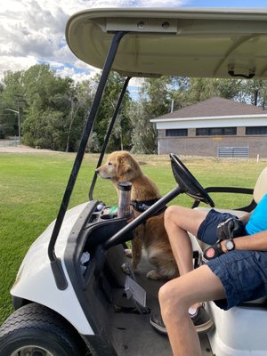 Bonneville Golf Course by null