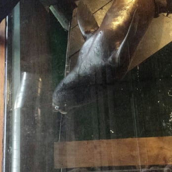 Buoy Beer - Brewpubs Near Me - Astoria, Oregon