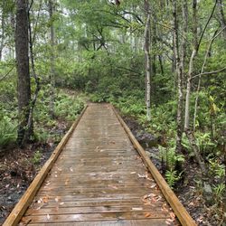Fontainbleau Nature Trail