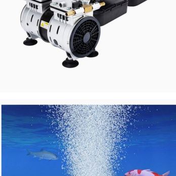 Waterboy Sprinkler Pros - Pond Aeration Oxygen for the fish Aliminates Algy - Landscaping Near Me - Davie, Florida Waterboy Sprinkler Pros - Pond Aeration Oxygen for the fish Aliminates Algy - Landscaping Near Me - Davie, Florida