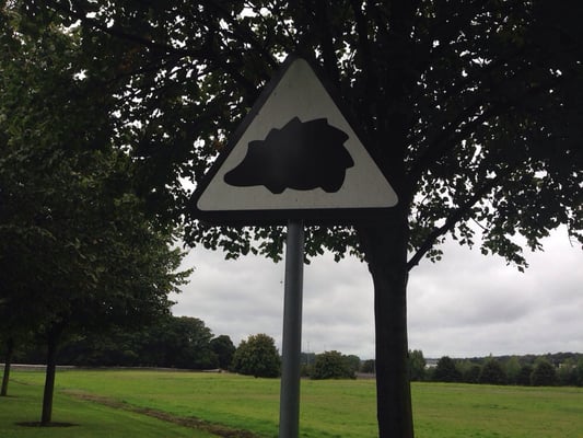 Irish Museum of Modern Art by null