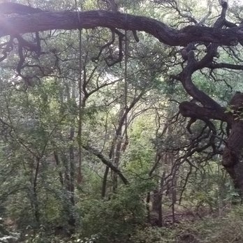 Gracywoods Park - Parks Near Me - Austin, Texas Gracywoods Park - Parks Near Me - Austin, Texas