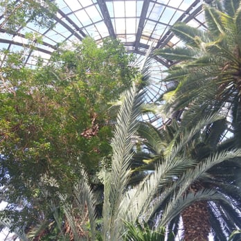 Anna Scripps Whitcomb Conservatory - Botanical Gardens Near Me - Detroit, Michigan Anna Scripps Whitcomb Conservatory - Botanical Gardens Near Me - Detroit, Michigan