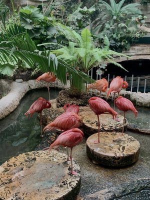 The Dallas World Aquarium by null