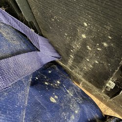 MMA-McElroy Management Associates - Mold covering belongings throughout the house