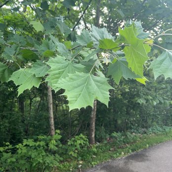 Broad Run Park - Parks Near Me - Louisville, Kentucky
