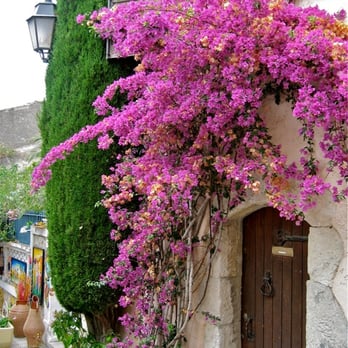 Le Roy d'Ys - Creperies Near Me - Le Castellet, 83 Le Roy d'Ys - Creperies Near Me - Le Castellet, 83