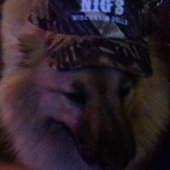 Nig's Bar - AIKO enjoying a swig!  Apparently Nig's is dog friendly!!! - Bars Near Me - Wisconsin Dells, Wisconsin