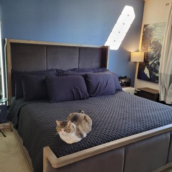 Hibernation Mattress - New bed from the king of mattresses in Orange County - Mattresses Near Me - Orange, California Hibernation Mattress - New bed from the king of mattresses in Orange County - Mattresses Near Me - Orange, California