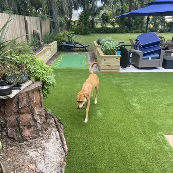 DelaTurf - Grass - Artificial Turf Near Me - Oviedo, Florida