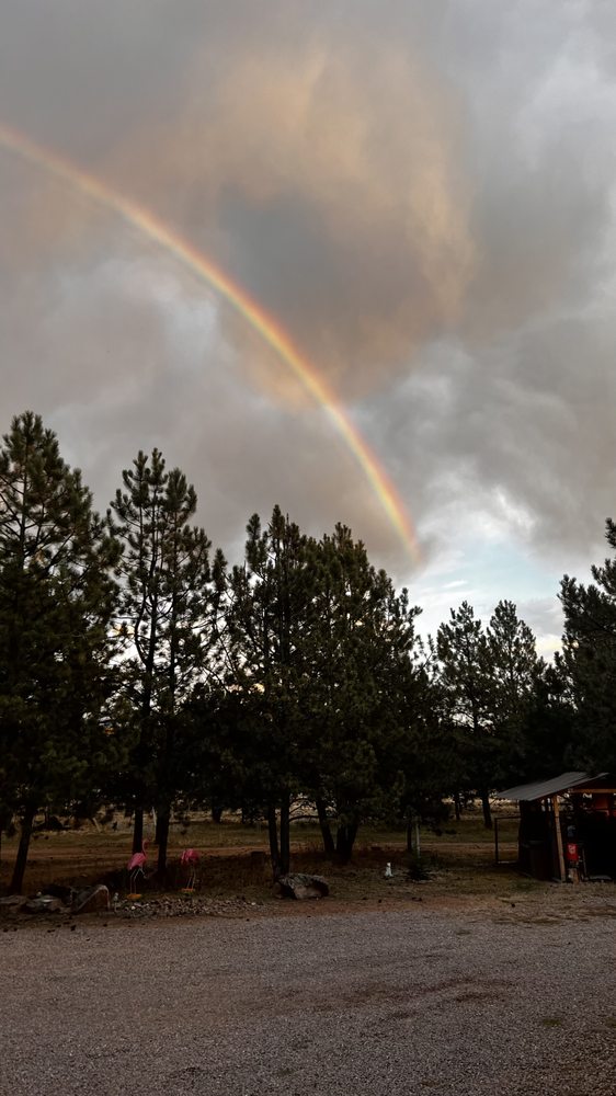 Big Country Equestrian Adventures - equestrian in Guffey, CO