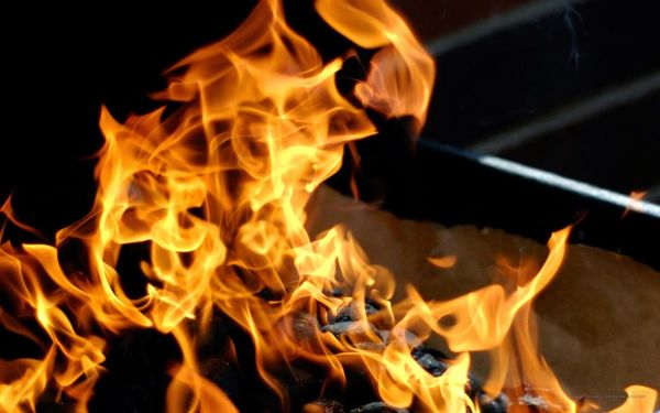 KD's Bar-B-Q by null